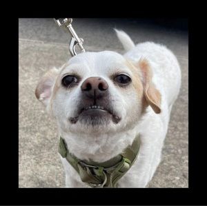 Meet your Posher, Gary